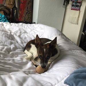 Meet your Posher, Karen